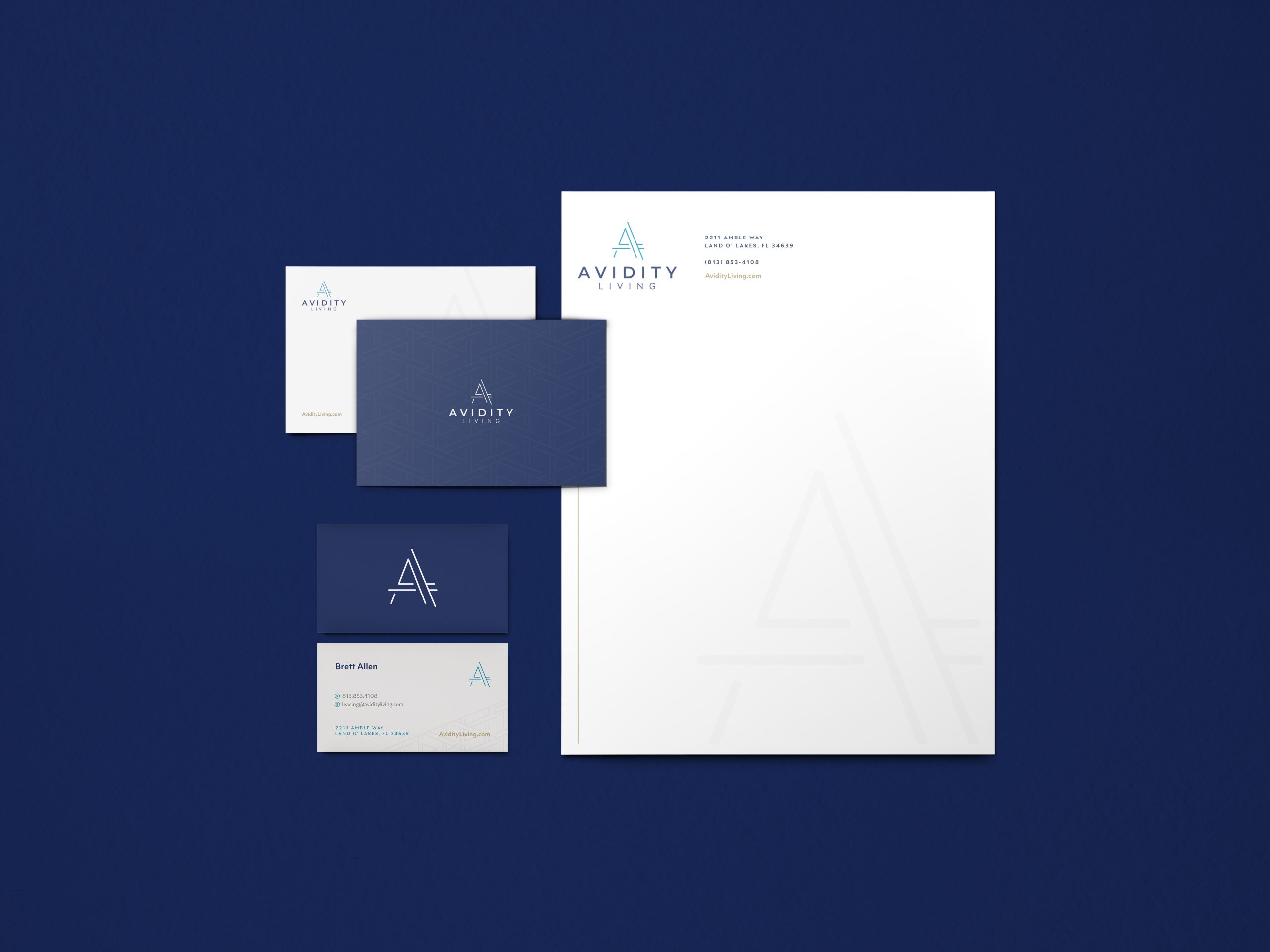 Avidity Collateral Mockup Vertical